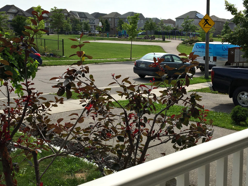 30 Warner Lane, Wyndfield, Brantford, Ontario - Porch View of Park