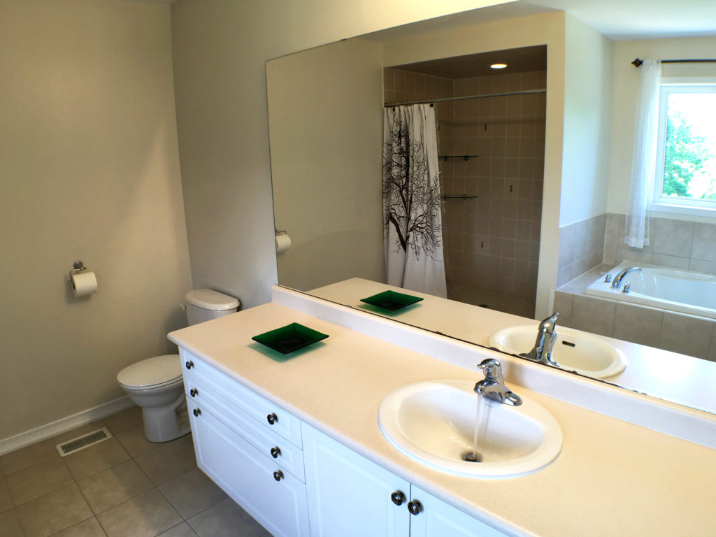 157 Hunter Way, Wyndfield, Brantford, Ontario - Master Ensuite Bathroom