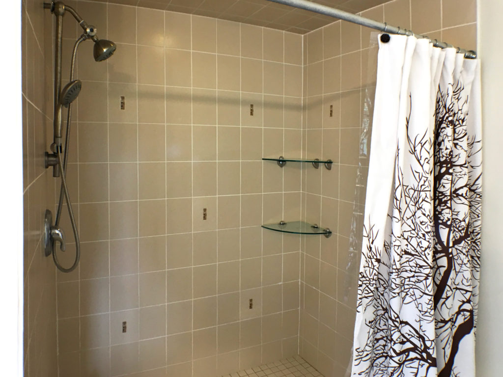 157 Hunter Way, Wyndfield, Brantford, Ontario - Walk-In Shower